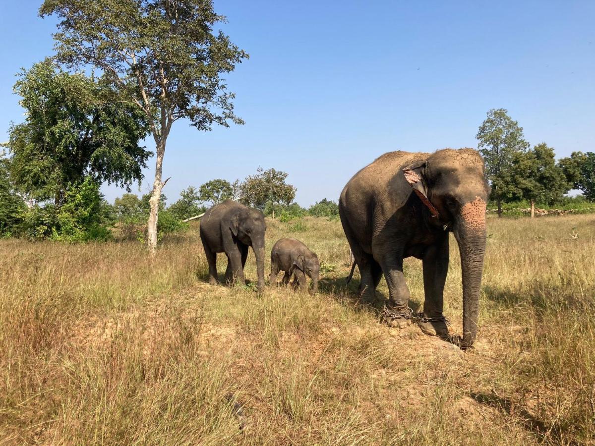 Khajuraho Homestay Eksteriør bilde