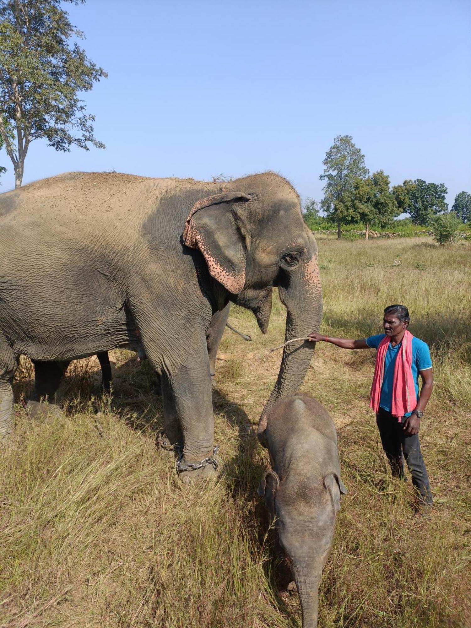 Khajuraho Homestay Rom bilde