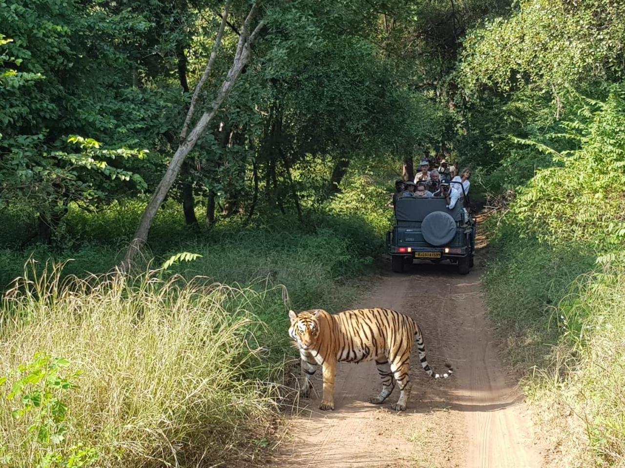 Khajuraho Homestay Eksteriør bilde