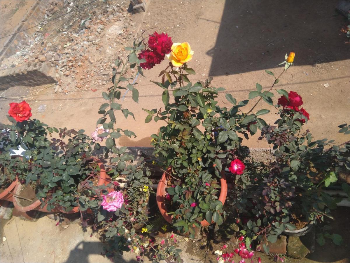 Khajuraho Homestay Eksteriør bilde